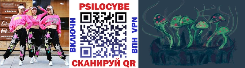 Псилоцибиновые грибы ЛСД кракен как войти Сельцо