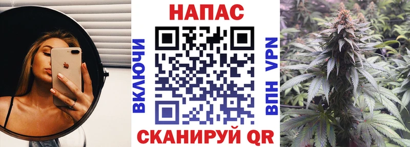 Конопля семена  купить  сайты  Сельцо 
